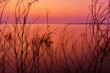 Fototapeta premium Nature landscape, Sky sunset nature beautiful