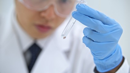研究