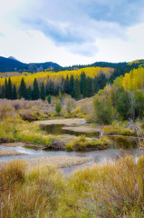 Autumn in Aspen Colorado