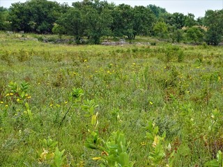 Pipestone national monument