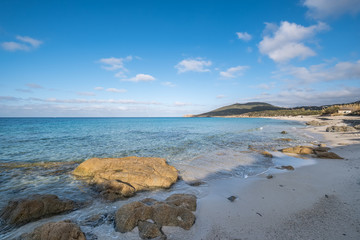 White sands of Ghjunchitu beach in Corsica