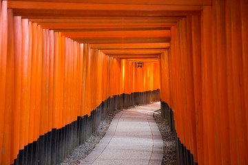 Photograph of the path of the Fushimi Inari temple
