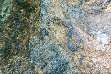 Old natural grey stone texture with moss background.