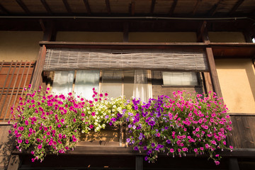 Obraz premium Photograph of a window with colorful flowers and a wooden shutter