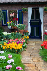 Colorful flowers potted near the Dutch style window