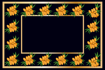 Obraz premium Square gold frame buckthorn tea, wine or alcohol label package template design. buckthorn fruit tag for food products, juice, jam, ice cream, smoothies, yogurt, soap, cosmetics and drinks. Vector