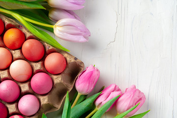 Painted Easter eggs in an eggbox with fresh tulips close up
