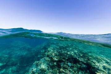 Naklejka na ściany i meble Under-over split shot of tropical coral reef and blue sky on sunny day 