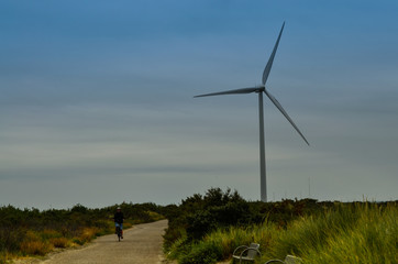 Fototapeta premium Holland, region of Zealand. August 2019. The wind turbines are the backdrop on the beach by the northern sea.