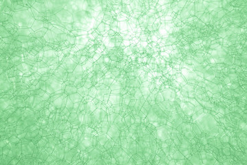 The texture of the foam.