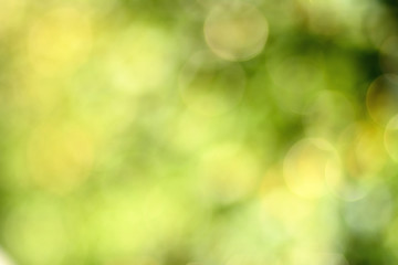 Obraz premium Abstract color light bokeh background