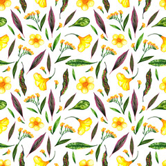 Seamless pattern of watercolor yellow flowers and plants . White background.