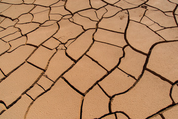 Cracked, dry, parched ground in the Gobi Desert