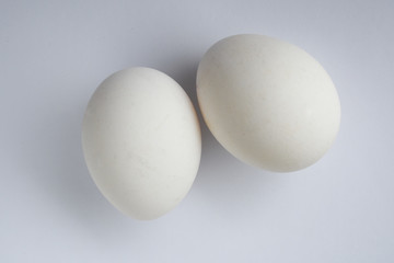  two eggs on a white background