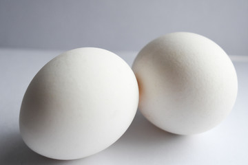  two eggs on a white background