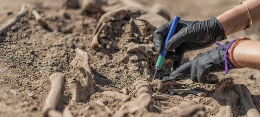 Foto op Canvas Ancient Burial Site- Archaeological Excavations © Microgen