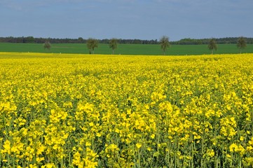 Unterwegs in Schmannewitz