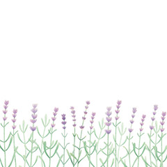 Watercolor hand drawn lavender bordur. Perfect for scrapbook, print. Place for text. Lavander flowers frame. 