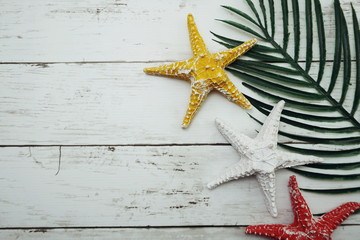 Summer Background concept with green leave and starfish decoration on wooden background