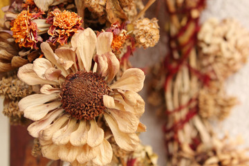 Dry autumn flowers on the wall