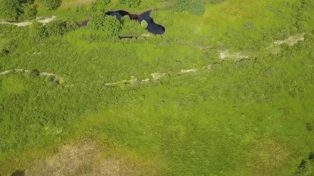 Flight over the most beautiful woodland forests and the Pripyat River. Belarus