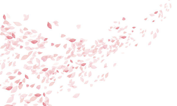 桜吹雪 の画像 347 868 件の Stock 写真 ベクターおよびビデオ Adobe Stock