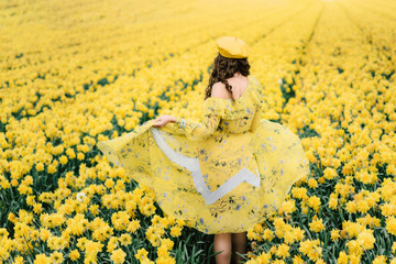 Happy woman in daffodil field with yellow umbrella. Tulip festival near Seattle, Washington, United States, spring blossom fieald in Netherlands, Holland, model from back, no face, free country life