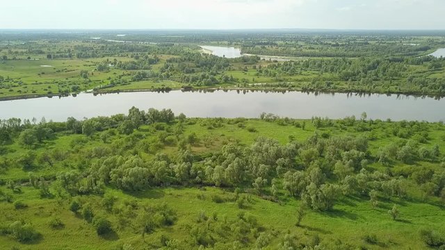 Flight over the most beautiful woodland forests and the Pripyat River. Belarus