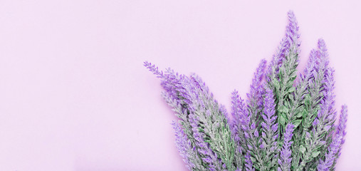 Cute arrangement of lavender flowers