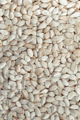 Pumpkin seeds in shell. Background and texture.