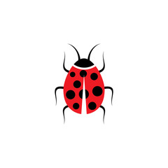 Beauty bug vector illustration icon design