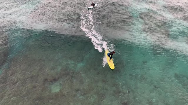 Beginner surfers learning to surf over coral reef shot from drone colorful tropical surf