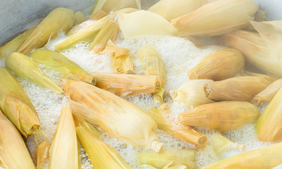 Waxy corn For boiling for sale.
