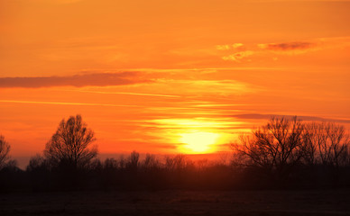 Obraz na płótnie Canvas Silhouette nature photo at sunset