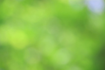 Bokeh green nature, Subtle background in abstract style for graphic design