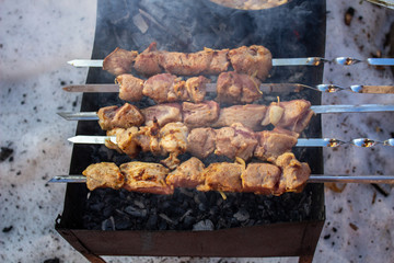 Cooking meat on the fire. Shish kebab on the grill