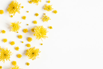 Flowers composition. Yellow chrysanthemum flowers on white background. Flat lay, top view