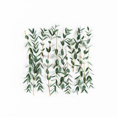 Eucalyptus leaves on white background. Pattern made of eucalyptus branches. Flat lay, top view