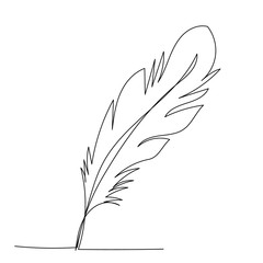  single line drawing, bird feather