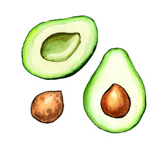 watercolor drawing avocado fruit set