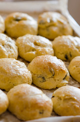 Buns with raisins on aplate close up