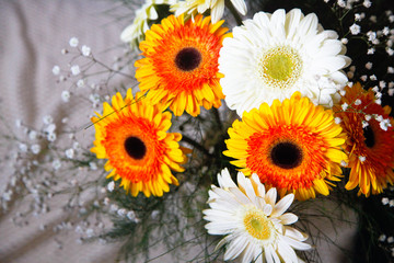 Orange flowers on the gray background. Women's day concept. Festive backgrounds. 