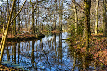 Herbst,Hintergrund,Wasser,See,Landschaft