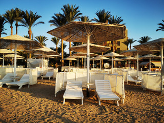 beach in the egypt