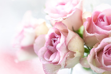 Pink roses bouquet with free space for text. copy space