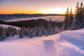 Wonderful morning in the mountainous valleys with houses in the Ukrainian Carpathians.	