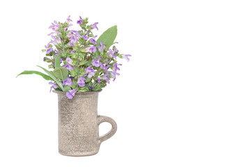 Sage leaves and flower (Salvia officinalis) in the vase isolated on a white background.