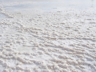 Natural white background. Granular crystalline salt desert texture. View of the bottom of a salt lake.