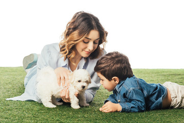 smiling mother holding Havanese puppy and son looking at it isolated on white