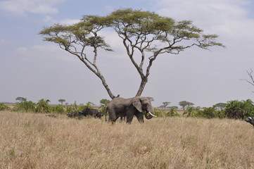 Tansania